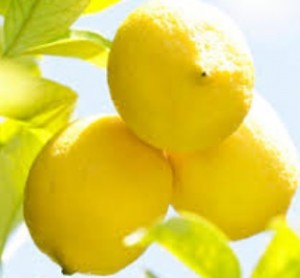 レモン塩の栄養と効能